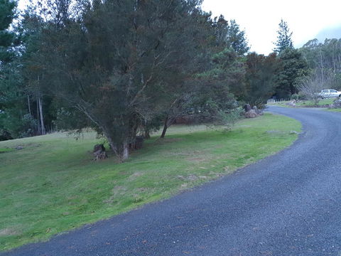 Roland B&B - Accommodation Australia 23