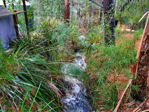 Roland B&B - Accommodation Australia 22