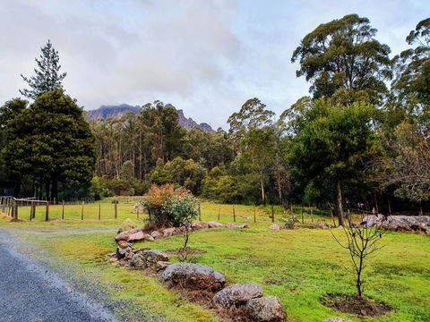 Roland B&B - Accommodation Australia 19