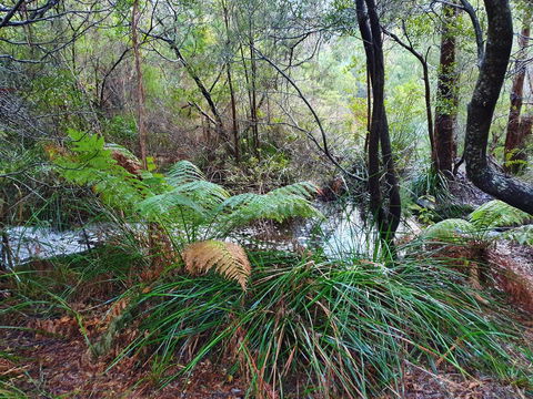 Roland B&B - Accommodation Australia 29