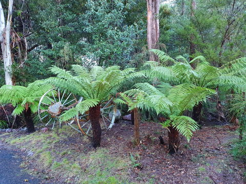Roland B&B - Accommodation Australia 33