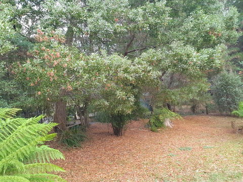 Roland B&B - Accommodation Australia 40