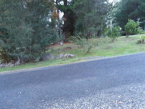 Roland B&B - Accommodation Australia 24