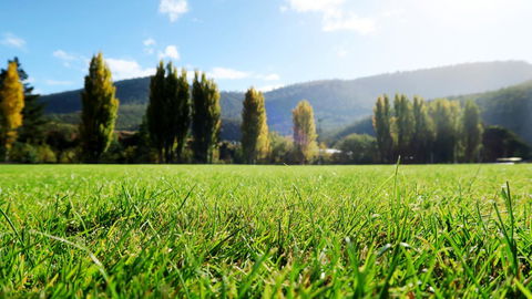 New Norfolk Junction Motel - Local Tourism 16