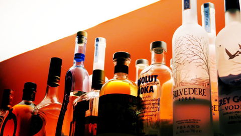 New Norfolk Junction Motel - Local Tourism 7