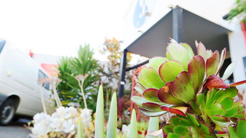 New Norfolk Junction Motel - Local Tourism 32