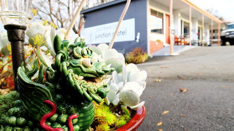 New Norfolk Junction Motel - Local Tourism 29