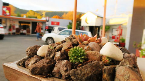 New Norfolk Junction Motel - Local Tourism 28