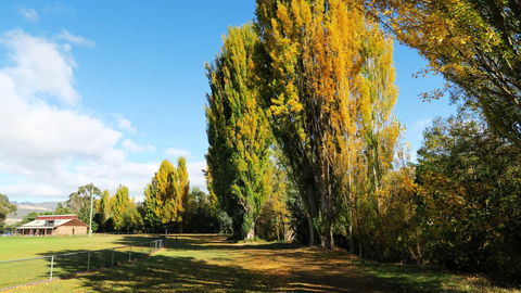 New Norfolk Junction Motel - Local Tourism 15