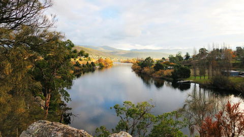 New Norfolk Junction Motel - Local Tourism 18