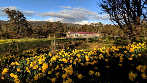 Mountain Blue Guest House - Accommodation Australia 3