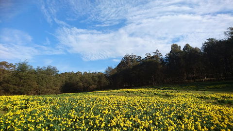 Mountain Blue Guest House - Accommodation Australia 21