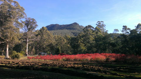Mountain Blue Guest House - Accommodation Australia 23