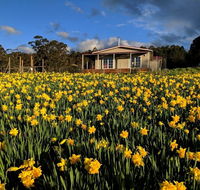 Mountain Blue Guest House - Australia Shopping