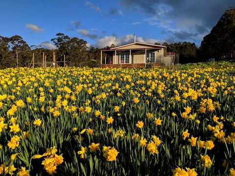 Mountain Blue Guest House - Accommodation Australia 0
