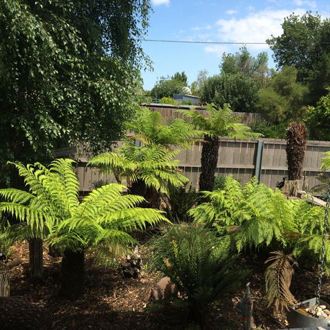 Pinestumps Holiday Home - Accommodation Australia 14