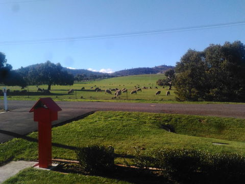 Pinestumps Holiday Home - Accommodation Australia 11