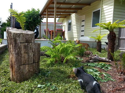 Pinestumps Holiday Home - Accommodation Australia 12