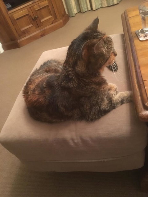 House On The Hill Bed And Breakfast - Accommodation Australia 13