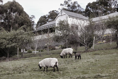 House On The Hill Bed And Breakfast - Accommodation Australia 19