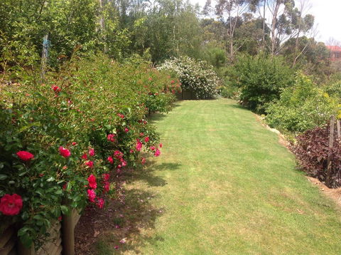 Sheer Pleasure Accommodation - Local Tourism 7
