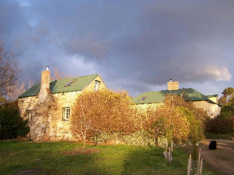 Cleburne Homestead - Local Tourism 3