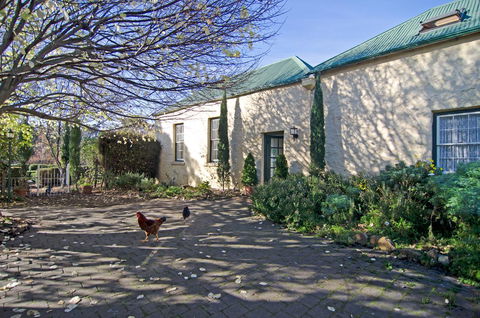 Cleburne Homestead - Local Tourism 9