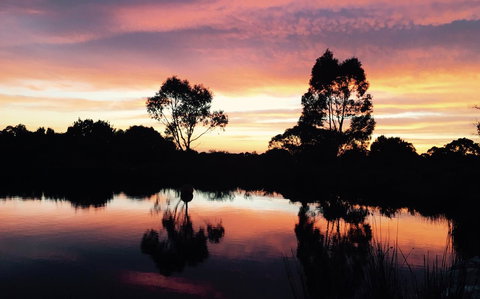 Blu-Sea 365 - Australia Shopping 9