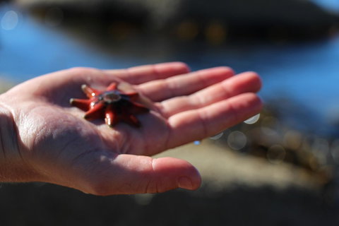 Blu-Sea 365 - Australia Shopping 26