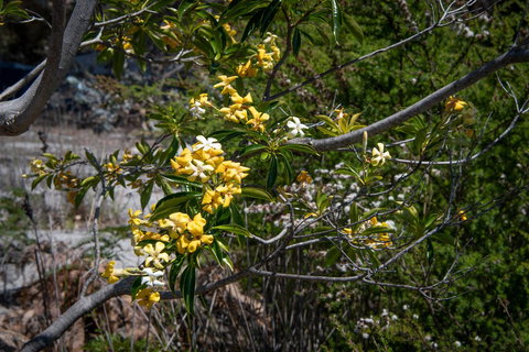 Blu-Sea 365 - Australia Shopping 8