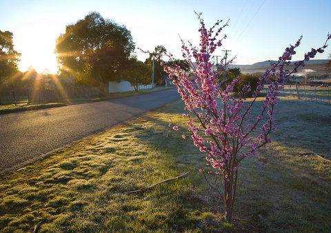 The Storekeeper\'s - Australia Shopping 14