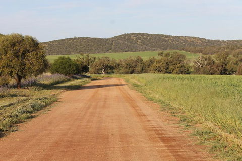 Northbrook Farmstay - Accommodation Australia 2