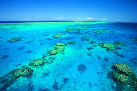 NRMA Cairns Holiday Park - Accommodation Australia 1