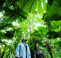 NRMA Cairns Holiday Park - Accommodation Australia