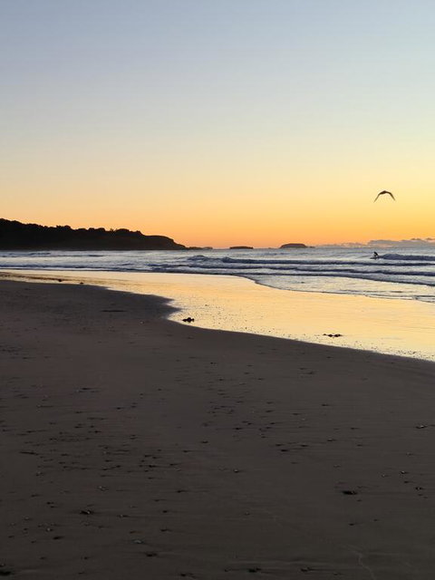 Ocean Parade Motel - Local Tourism 1