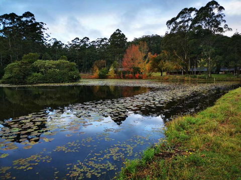 OCT Forest Lodge - Local Tourism 2