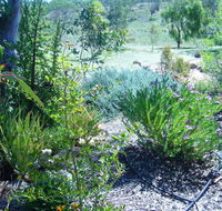 Old Miners' Cottages Bed and Breakfast - Australia Shopping