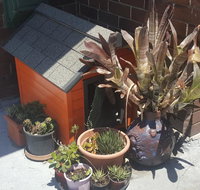 Orange Grove Hotel - Accommodation Australia