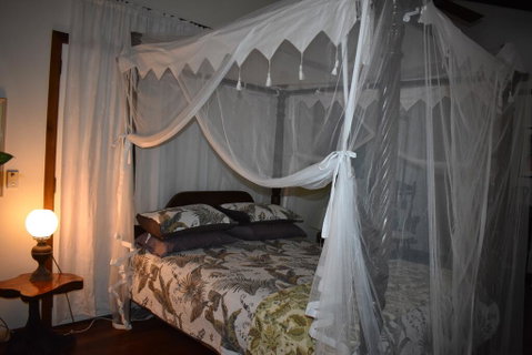 Oskar's Rain Forest Retreat - Accommodation Australia 0