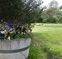 Padthaway Caravan Park - Accommodation Australia