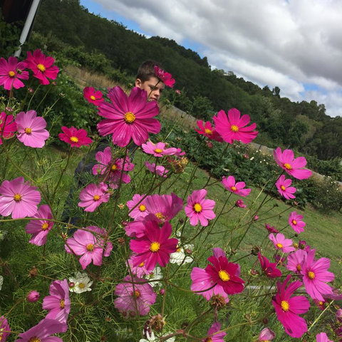 Pennyroyal Otways Retreat - Local Tourism 3