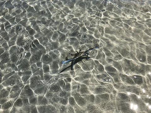 Peppermint Grove Beach Holiday Park - Accommodation Australia 1