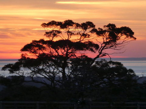 Red Hill Ridge - Accommodation Australia 1