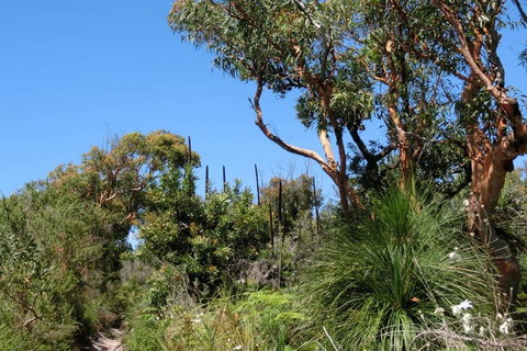 Relaxing Queen Sized Room With En-Suite - Australia Shopping 3