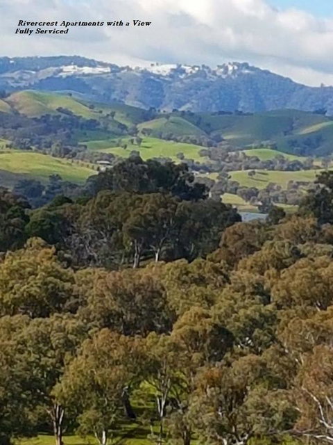 Rivercrest Apartments - Local Tourism 3