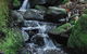 Rocky Creek Art Garden B&B - thumb 3