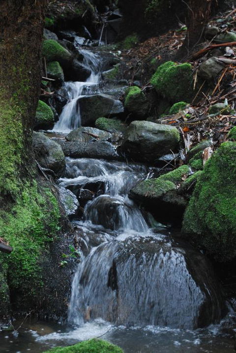 Rocky Creek Art Garden B&B - Accommodation Australia 3