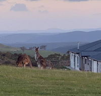 Rooks Edge - Accommodation Australia