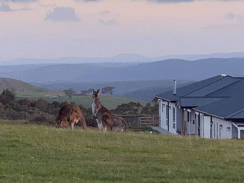 Rooks Edge - Accommodation Australia 0
