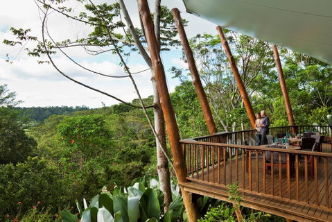 Rose Gums Wilderness Retreat - Local Tourism 0